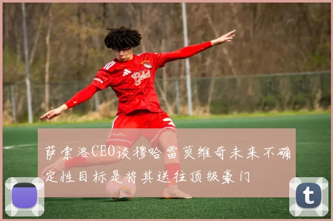 萨索洛CEO谈穆哈雷莫维奇未来不确定性目标是将其送往顶级豪门