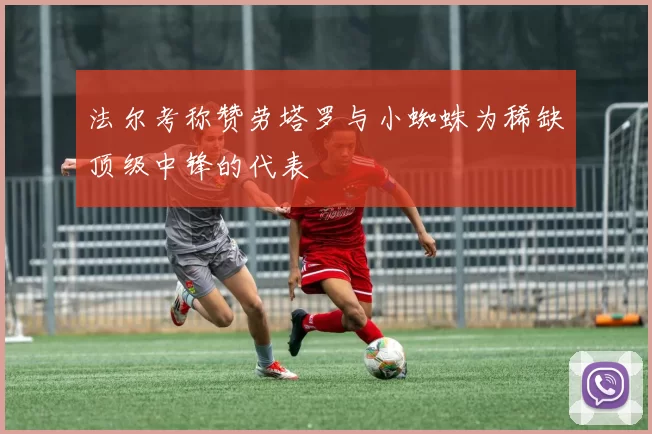 法尔考称赞劳塔罗与小蜘蛛为稀缺顶级中锋的代表